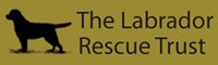 Labrador Rescue Trust